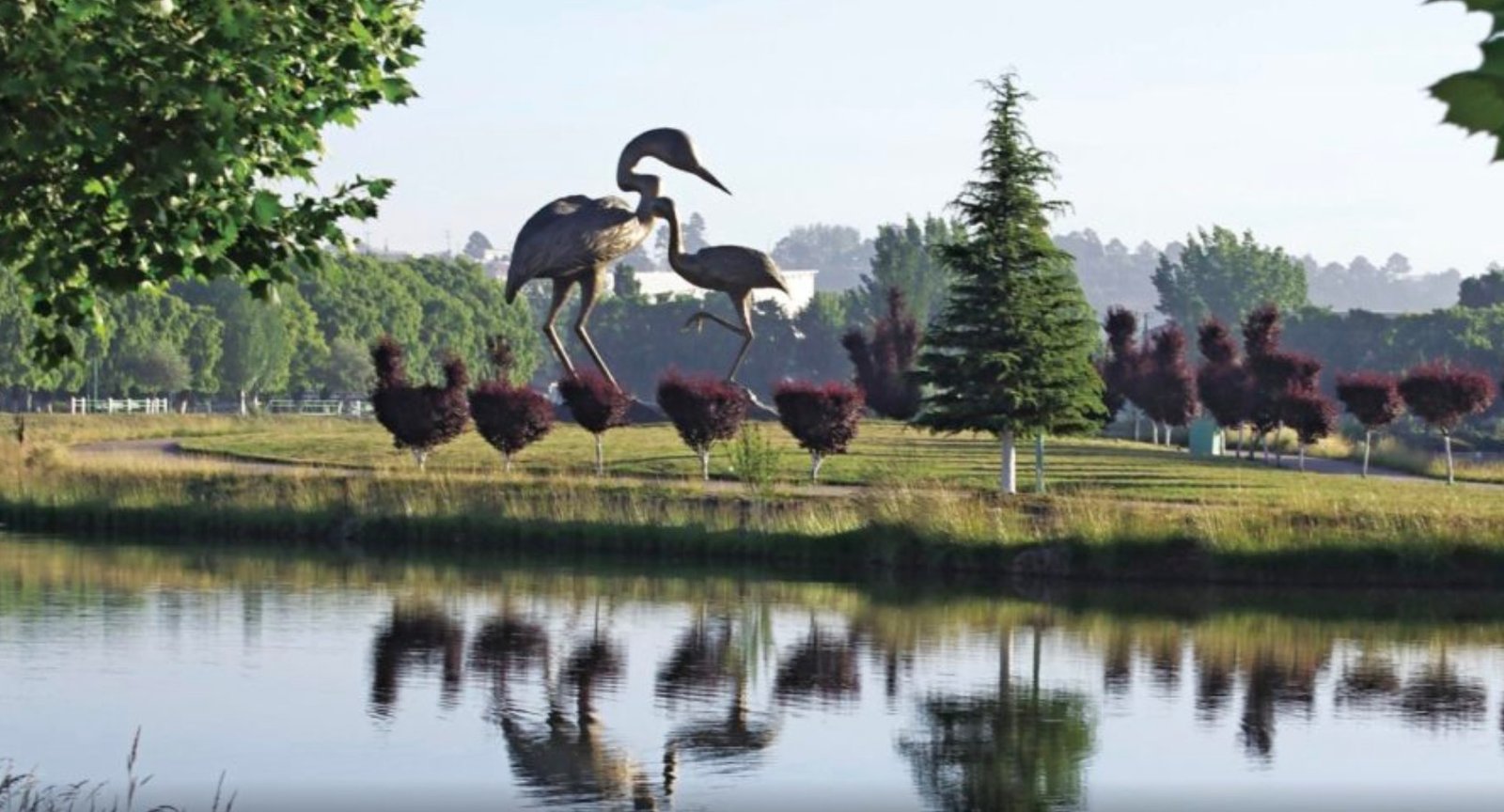 Lago Las Garzas